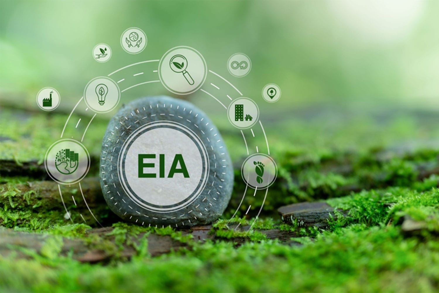 Environmental Services | Environmental Impact Assessments (EIA)